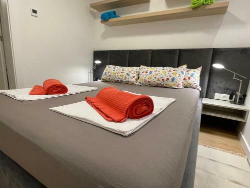 Modern And Stylish Apartments