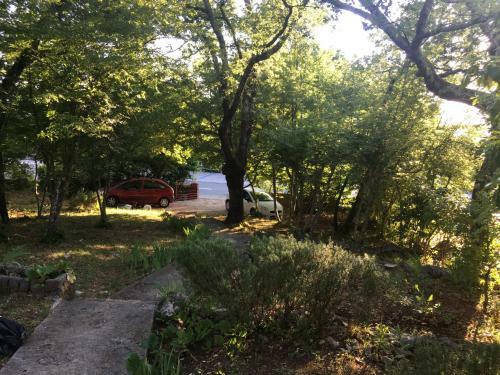 Apartman Kora