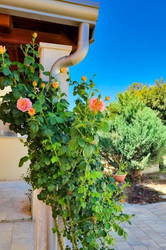 Apartamento Aptartment - Istrian Dream With Swimming Pool