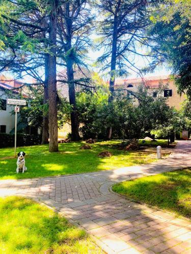 Istria Apartment - 3 Minutes From The Beach