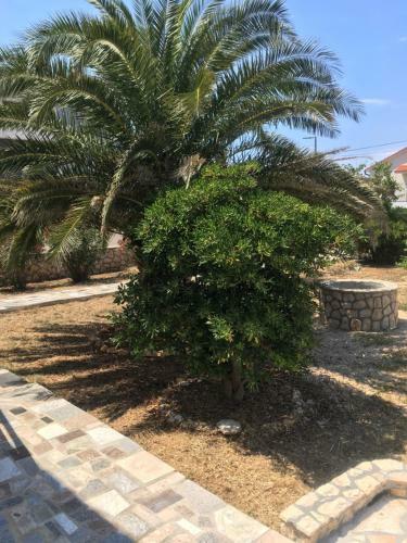 Olive Tree Apartment At Villa Mia In Novalja