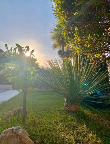 Apartments In Podstire - Insel Brac 42460