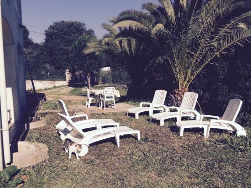 Bed & Breakfast Veronique