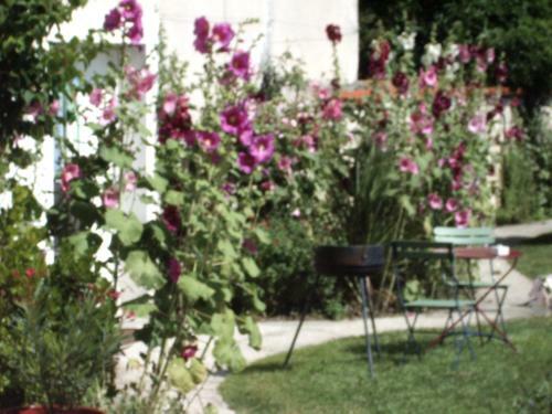 Apartamento R�sidence Les Platanes