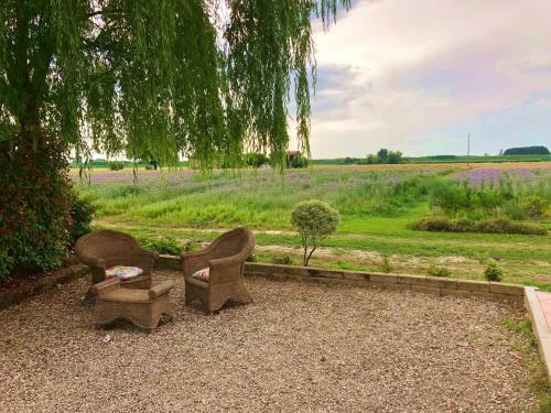 Agroturismo Il Murello