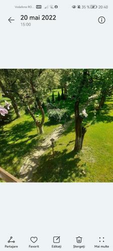Lodge Cazare La Oana