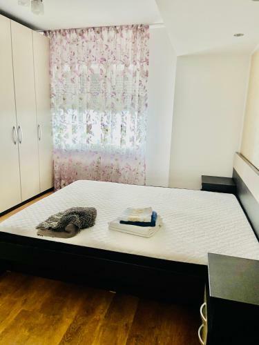 Apartamento Iulius Mall Comfort