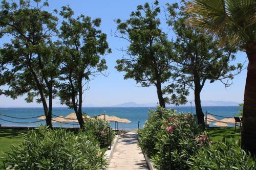 Feri Surf Club Hotel Dat�a