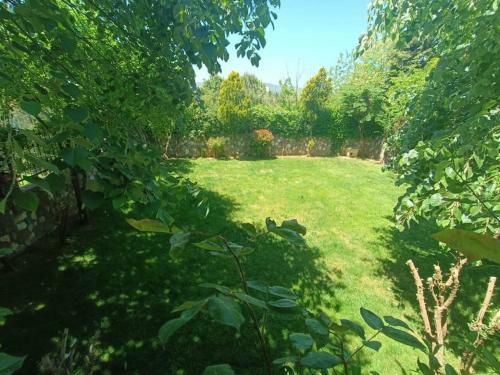 Luxury Pa?ak�y Triplex Villa + Grand Garden