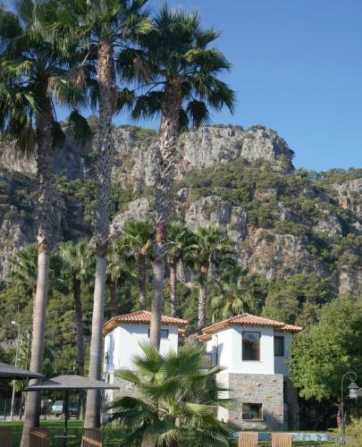 Villa Merry - Dalyan Stonehouse With Palmtrees, 50m To River