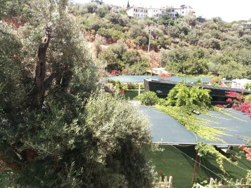 Gizli Vadi Camping&pension