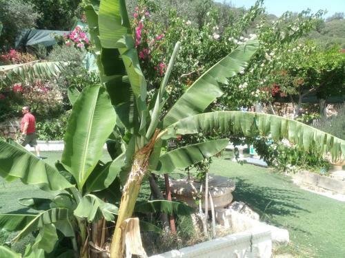 Gizli Vadi Camping&pension