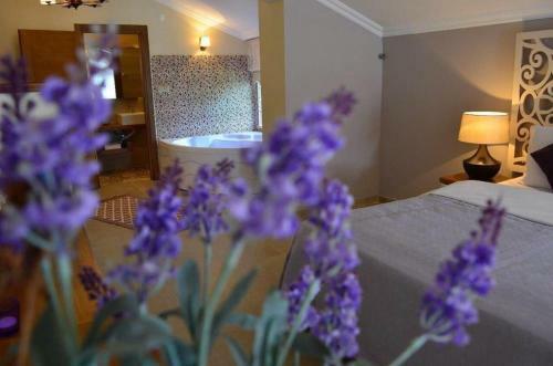 Agva Sweet Home River Hotel