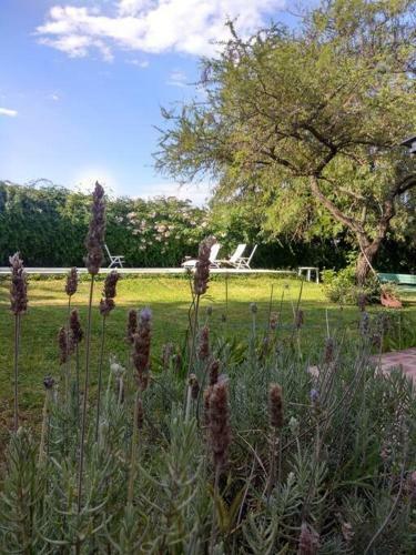 Casa En Barrio Privado 3 Dorm. / 3 Ba�os / Piscina