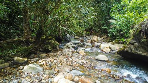 Hacienda Sagrada - Cascada El Tagual