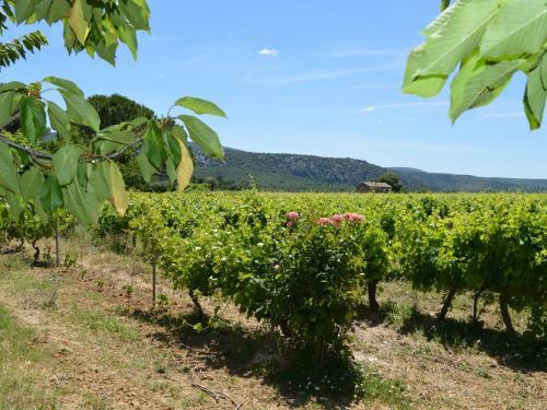 Lodge Holiday Home Chassille Lagorce
