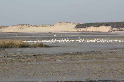 La Maison De Cl�lie