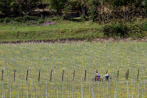 Bed & Breakfast Podere Castagne'
