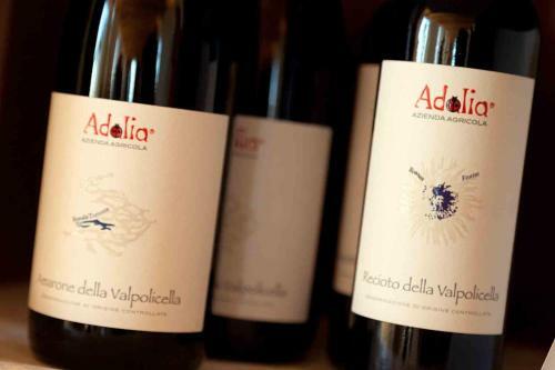 Bed & Breakfast Podere Castagne'