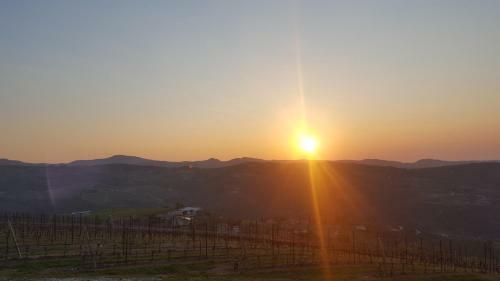 Bed & Breakfast Podere Castagne'