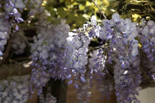 Hotel Relais Du P�rigord Noir