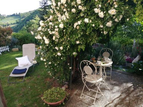 Bed & Breakfast La Terrazza Sul Monferrato