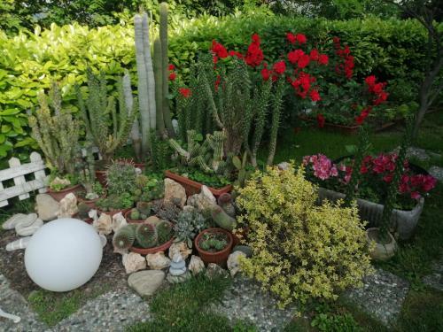 Bed & Breakfast La Terrazza Sul Monferrato