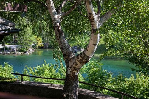 Chalet Sul Lago