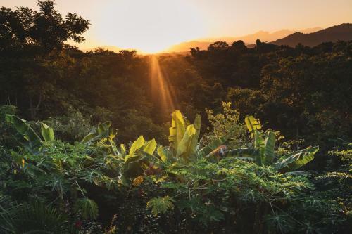 Agroturismo La Casita Del Bosque