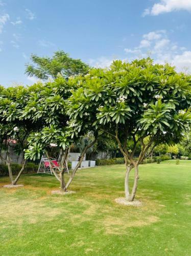 Villa The Mango Tree - By Shay Hospitality