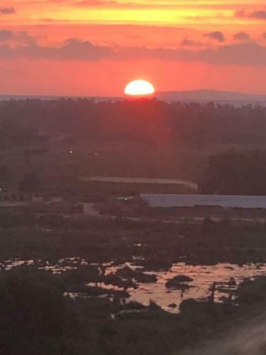 Apartamento Ab?s Benoni Suites