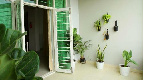 Hotel White Fern Stays