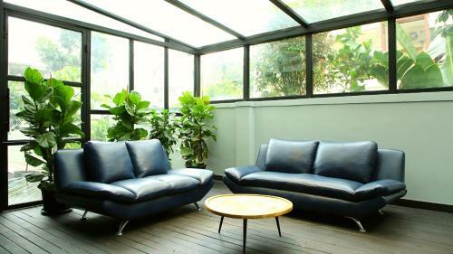 Hotel White Fern Stays