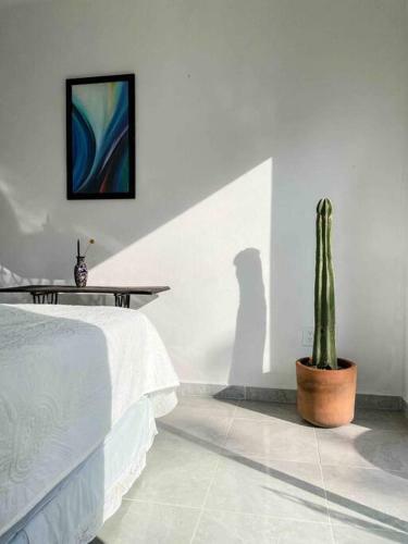 Casa De Descanso En Tlayacapan