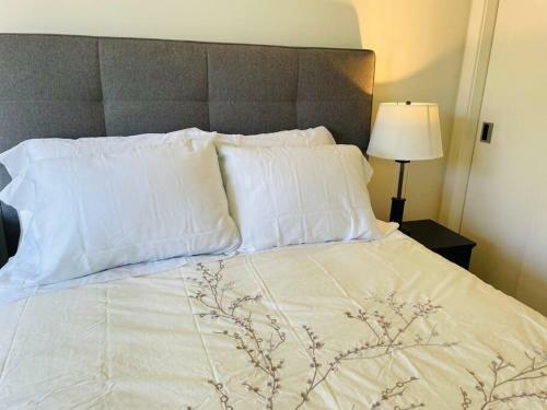 Apartamento Spacious Downtown 2 Bedroom Condo With Pool And Air Conditioning