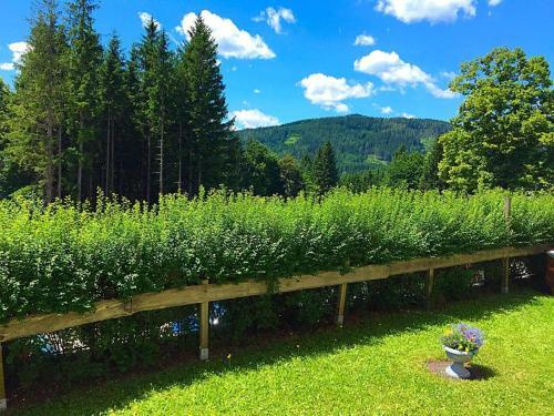 Apartamento Stadtzentrum Mariazell