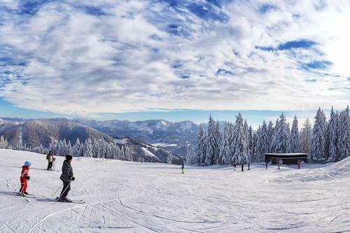 Apartamento Stadtzentrum Mariazell