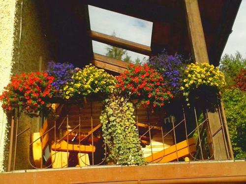 Apartamento Appartement Zur Sternwarte