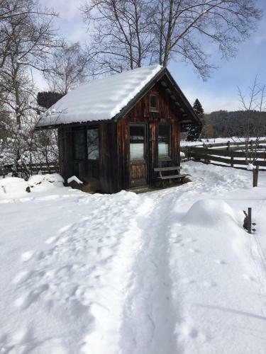 Apartamento Ferienwohnung Morgensonne