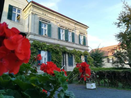 Hostal G�stehaus & Privatzimmer Posch