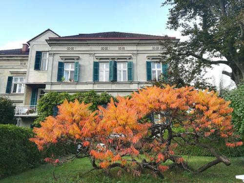 Hostal G�stehaus & Privatzimmer Posch
