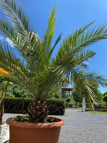 Hostal G�stehaus & Privatzimmer Posch