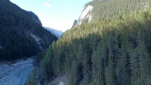 Apartamento Ferienwohnung Neufundl�nder