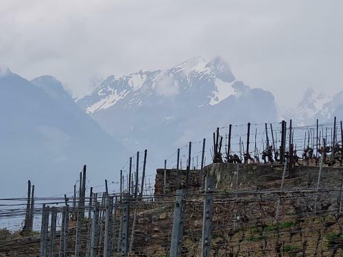 Apartamento Panorama, Appartement 34, Torgon Schweiz