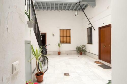 Apartamento Casa Nazar� - Wifi - Petfriendly - Ecofriendly