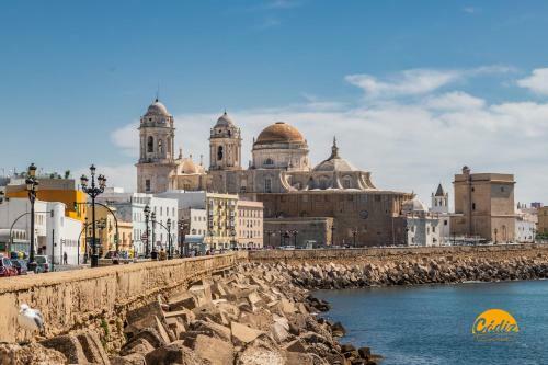 Apartamento Casa Nazar� - Wifi - Petfriendly - Ecofriendly
