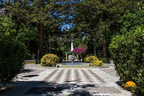 Apartamento Casa Nazar� - Wifi - Petfriendly - Ecofriendly