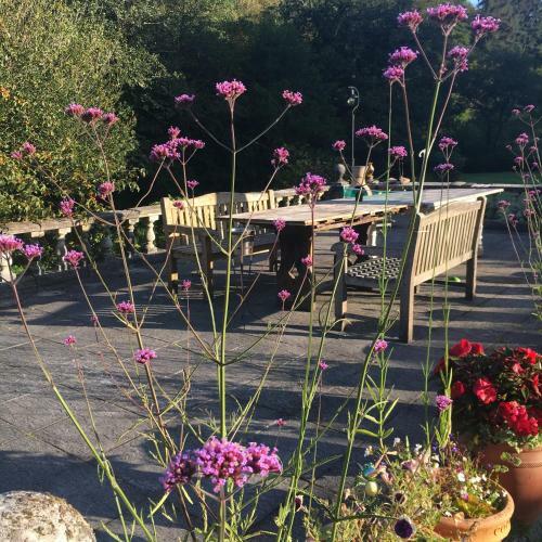 Apartamento Romantic, Secluded Cottage In Cardinham Woods, Cornwall