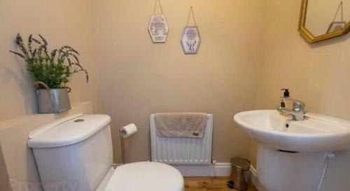 Cosy House In An Old Mill - Carrickfergus