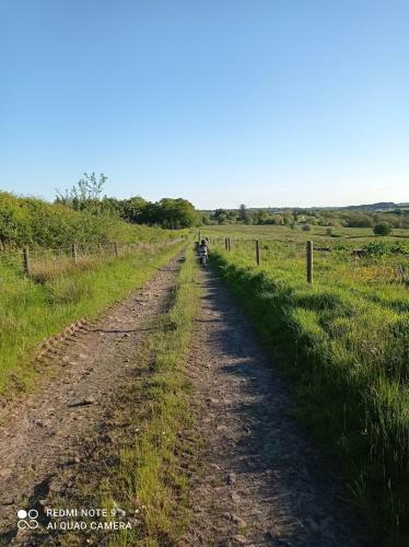Old Hall Farmhouse, Sleeps 6. Dogs Welcome.
